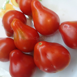 «Chalma» - Organic Tomato Seeds