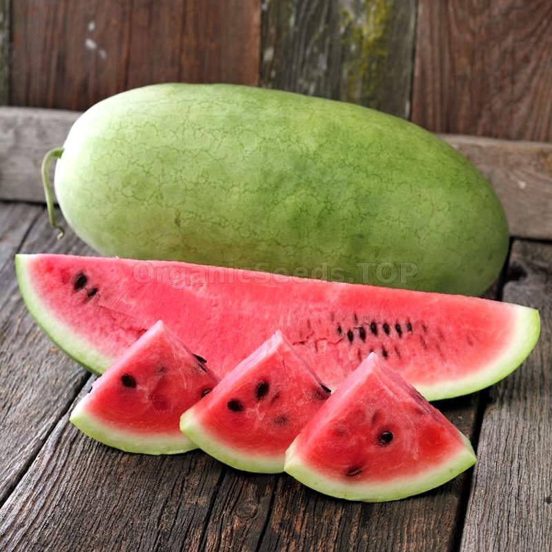 Charleston Gray Organic Watermelon Seeds Shipping Is Free For   3664 