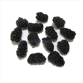 «Triple Crown» - Organic Blackberry thornless Seeds
