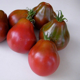 «Truffle black» - Organic Tomato Seeds