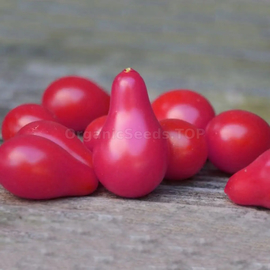 «Pear pink» - Organic Tomato Seeds
