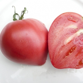 «Budenovka Pink» - Organic Tomato Seeds