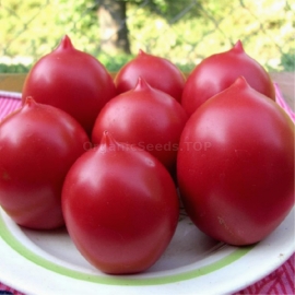 «Tarasenko Pink» - Organic Tomato Seeds