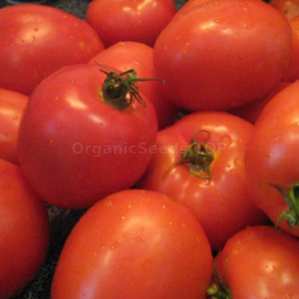 «Nemador» - Organic Tomato Seeds