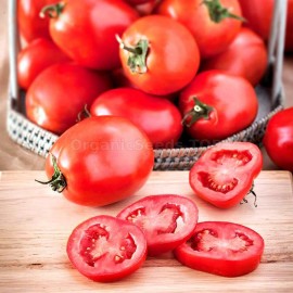 «Roma» - Organic Tomato Seeds