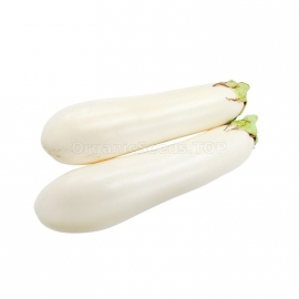 «Clara» - Organic Eggplant Seeds