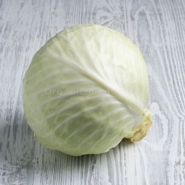 «Glory» - Organic Cabbage Seeds