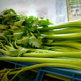 «Green Utah» - Organic Celery Seeds