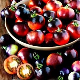 «Indigo Rose» - Organic Tomato Seeds