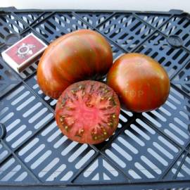 «Large Black and Red Boar» - Organic Tomato Seeds