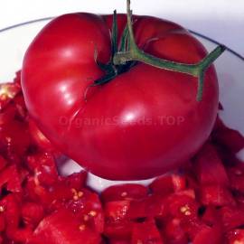 «Brandywine, Sudduth's» - Organic Tomato Seeds