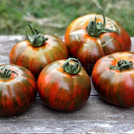 «Chocolate stripes» - Organic Tomato Seeds