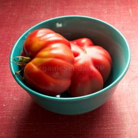 «Tlacolula» - Organic Tomato Seeds