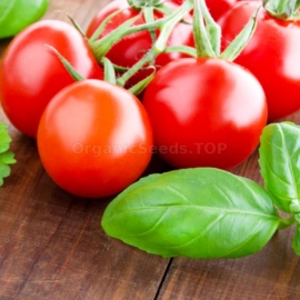 «Fruit cherry» - Organic Tomato Seeds