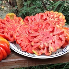 «Beauty Lottringa» - Organic Tomato Seeds