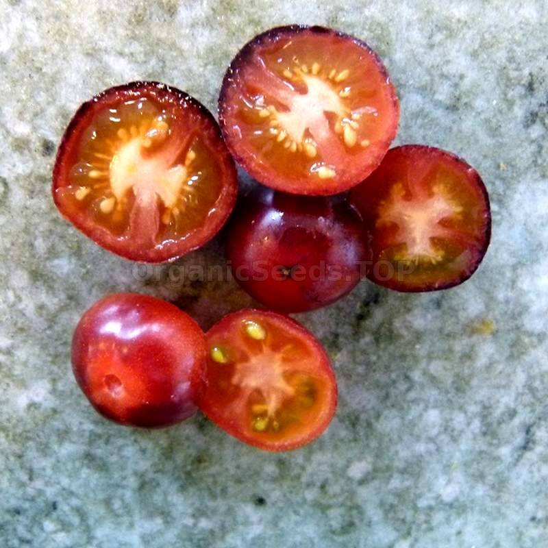 Tomate "Blue Pitts" semi solido bio sementi vecchio storico varietà sementi 