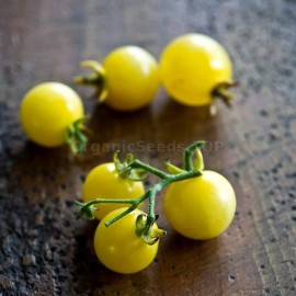 «Snow White» - Organic Tomato Seeds