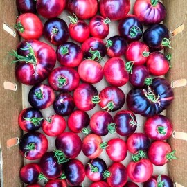 «Amethyst Jewel» - Organic Tomato Seeds
