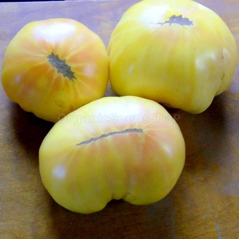 40 Huge Lemon Oxheart Organic Tomato Seeds BIG Heirloom 2021 Seed