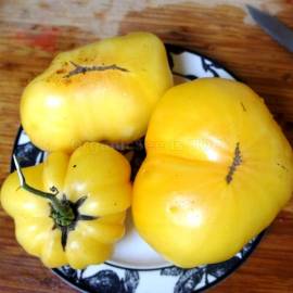 «Huge Lemon Oxheart» - Organic Tomato Seeds