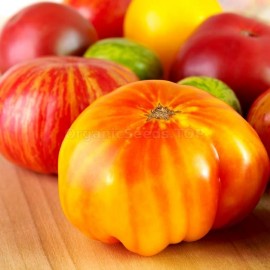 «Hillbilly» - Organic Tomato Seeds