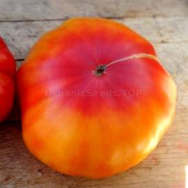 «Gold Medal» - Organic Tomato Seeds