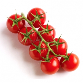 «Cocktail» - Organic Tomato Seeds