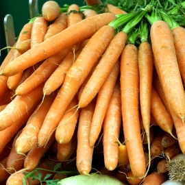 «Nantes» - Organic Carrot Seeds