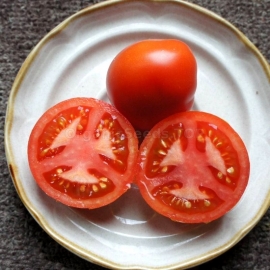 «Bogata Hata» - Organic Tomato Seeds