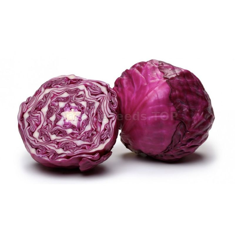 «Ruby Ball» Organic Cabbage Seeds Shipping is free for orders over €50