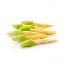 «Pineapple» - Organic Corn Seeds