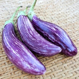«Tsakoniki» - Organic Eggplant Seeds