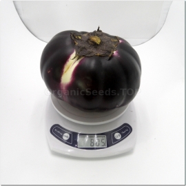 «Gelios Giant» - Organic Eggplant Seeds