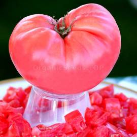 «Pink Giant» - Organic Tomato Seeds