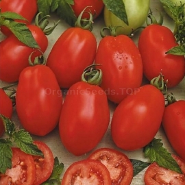 «Rio Grande» - Organic Tomato Seeds