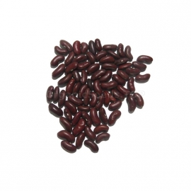 «Purple Kidney» - Organic Bean Seeds