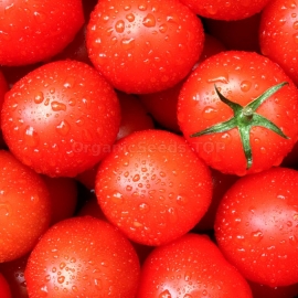 «Record-holder» - Organic Tomato Seeds