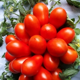 «Cimmerian» - Organic Tomato Seeds
