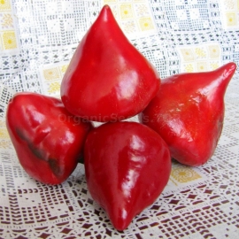 «Lesya» - Organic Hot Pepper Seeds