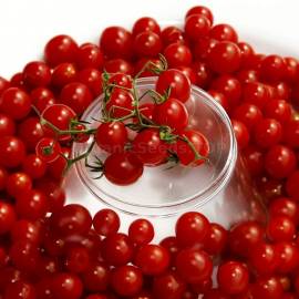 «Red Сurrant» - Organic Tomato Seeds