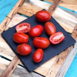 «Geyser» - Organic Tomato Seeds