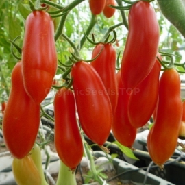 «Red banana» - Organic Tomato Seeds
