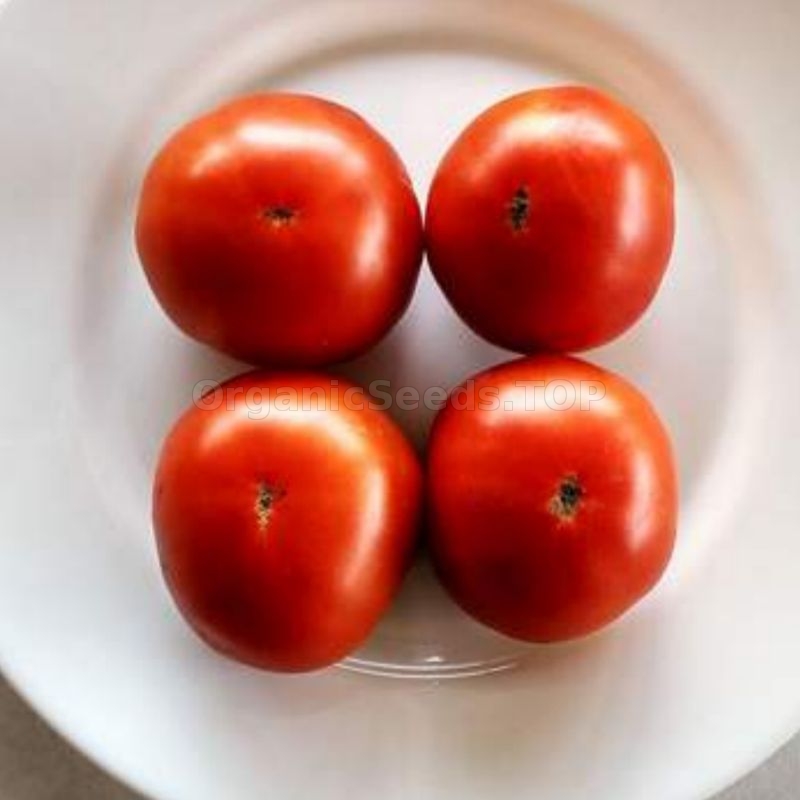 «Miracle of Siberia» Organic Tomato Seeds Shipping is free for