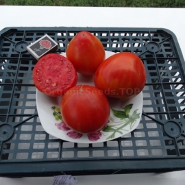 «Estonian» - Organic Tomato Seeds