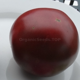 «Perth Pride» - Organic Tomato Seeds
