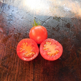 «Galapagos» - Organic Tomato Seeds
