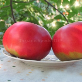 «Biysk rosean» - Organic Tomato Seeds