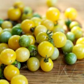 «White Currant» - Organic Tomato Seeds