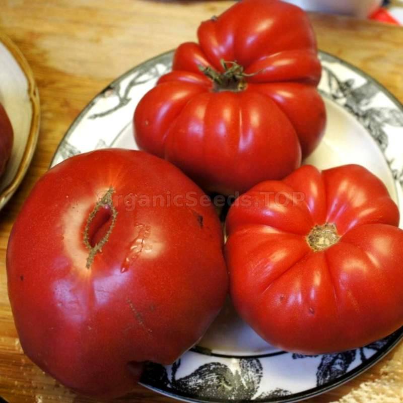 Bear Claw Organic Tomato Seeds Shipping Is Free For Orders Over 35