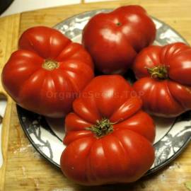«Bear Claw» - Organic Tomato Seeds